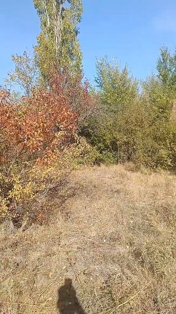 Разрушенное старое здание