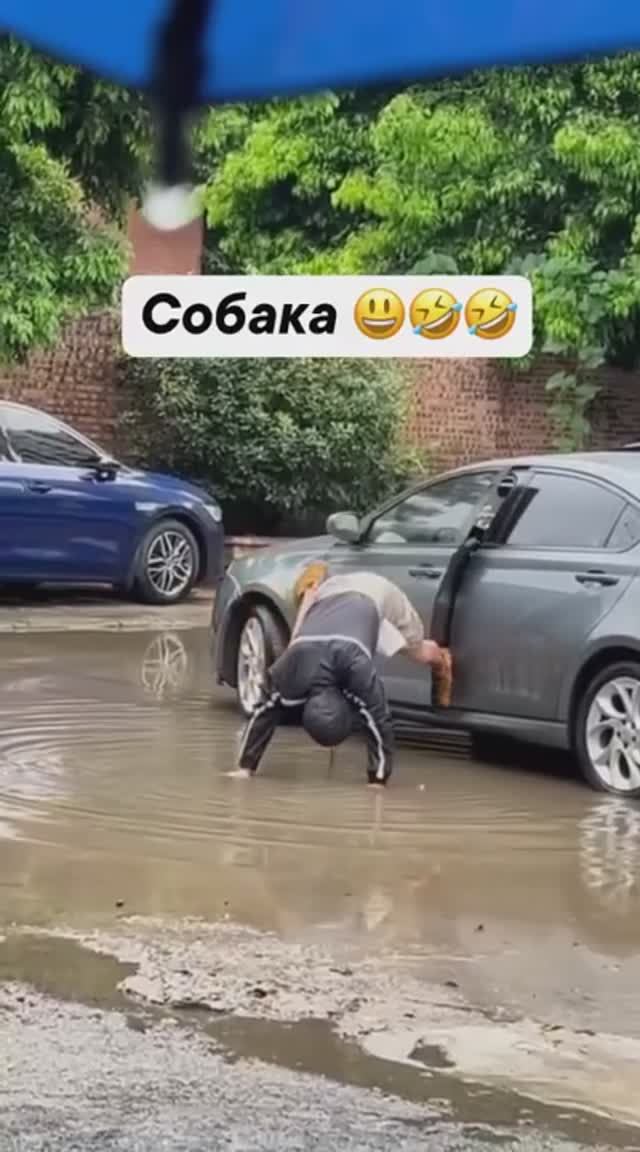 Спас собаку!!!👍