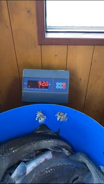 14-07-2025