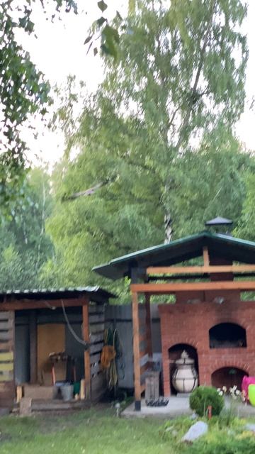 Прикормил ястреба