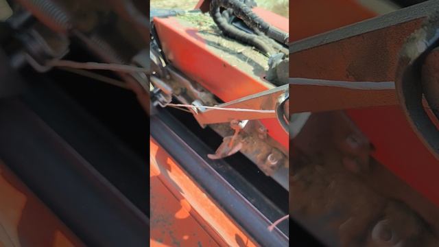 1000126171.mp4