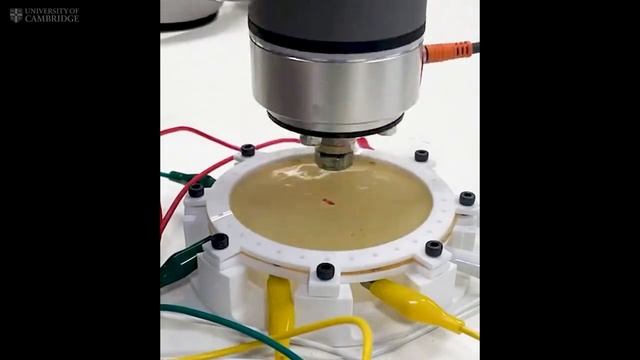 В Кембридже создали электрокожу, которая позволит роботам чувствовать касания и боль.