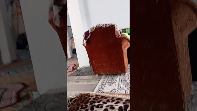 1000028751.mp4