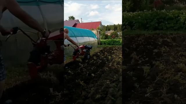 Отзыв о плуге Тихоход!