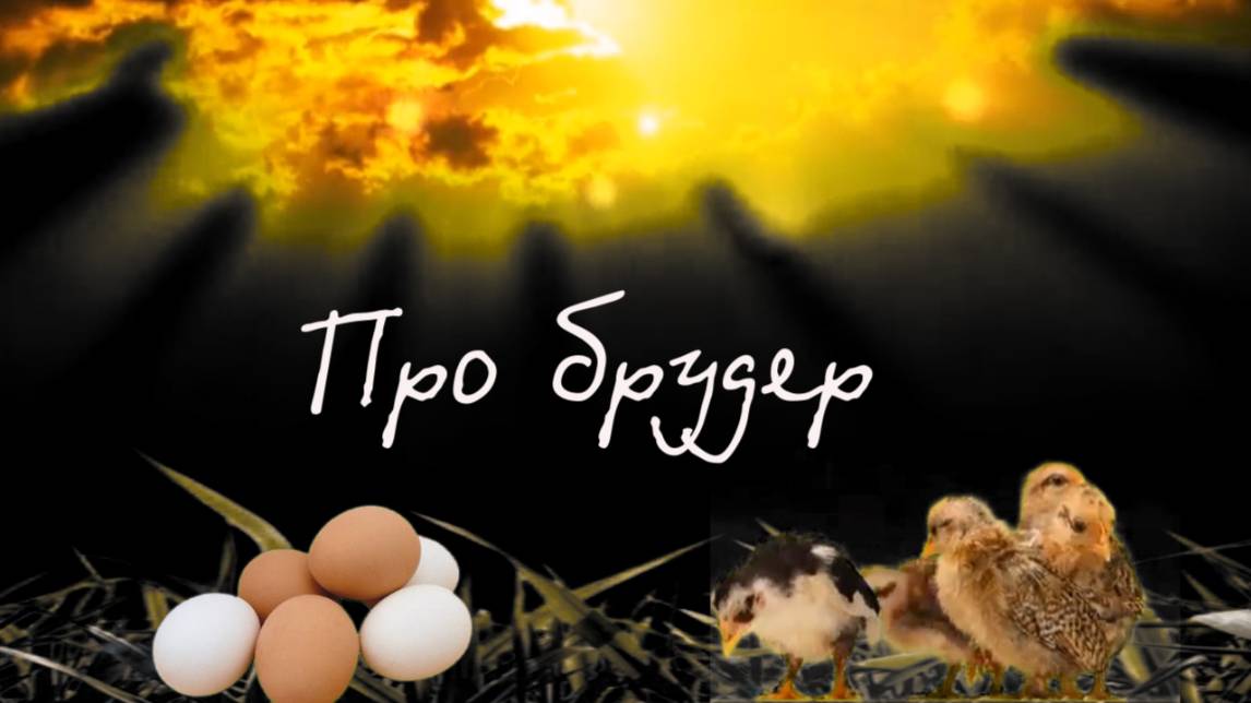Про брудер