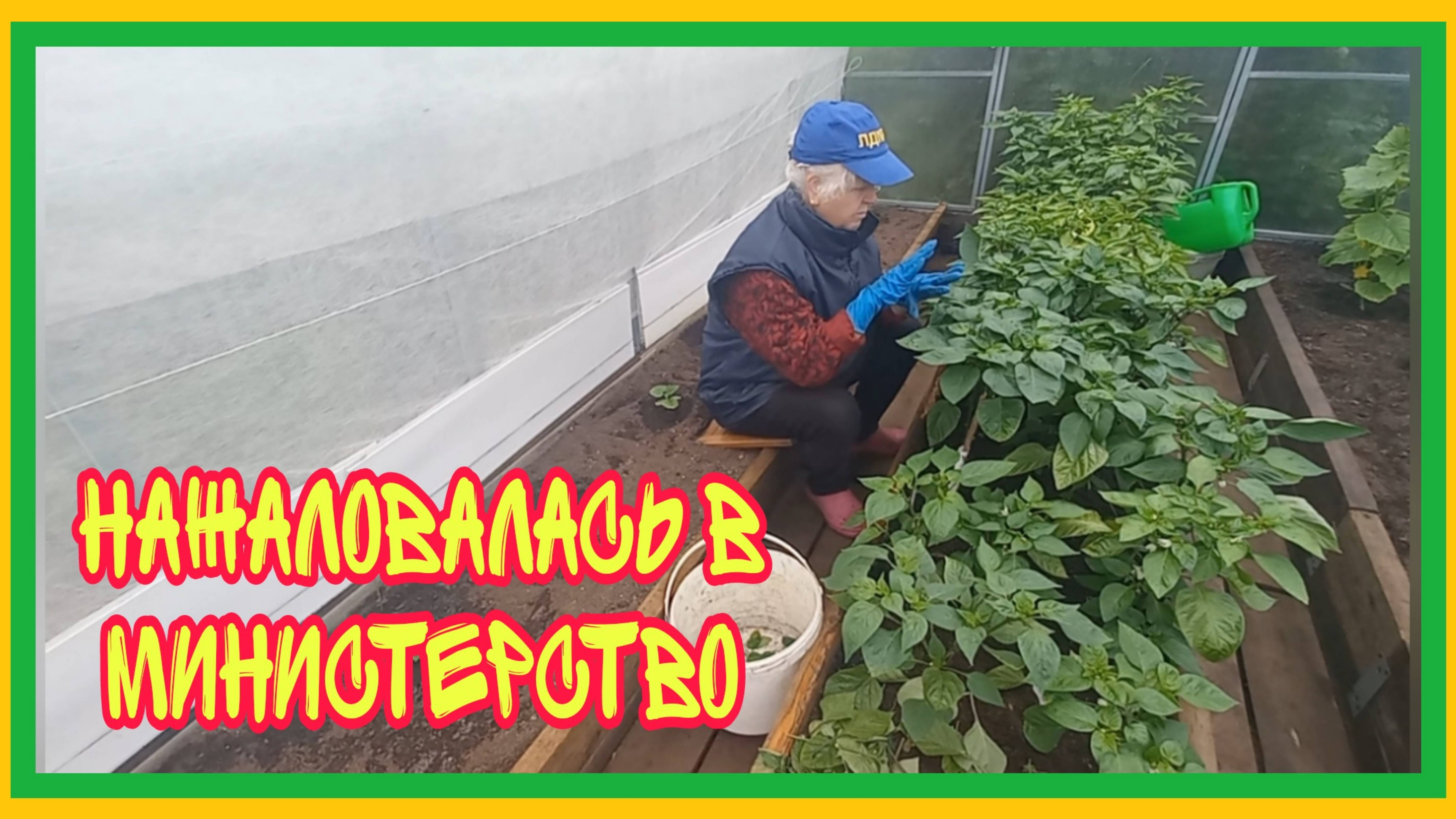 6/7 25 НИЧЕГО НЕ ВЫРАСТЕТ. ЗАПЕЧАТЫВАЕМ НАГЛУХО. ПЛЕТУ СЕТИ,КАК ПАУК. БОЛЬ ВЕРНУЛАСЬ.ОЖИДАЛИ ВКУСНЕЕ