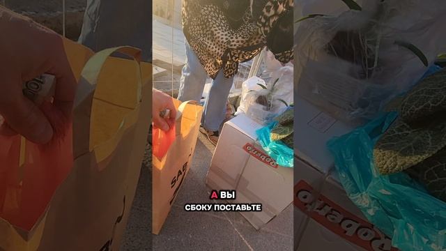 ЭТО РОССИЯ, А НЕ ЕВРОПА С ЦЫГАНАМИ

ПОПРАШАЙКАМИ #россия #россиястранавозможностей