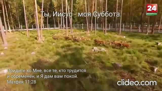 Ты, Иисус, моя Суббота!
