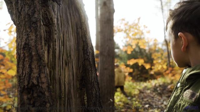 Пейзажи и музыка вместе дарят личный космос - Squirrel Commotion -- Podington Bear -- Haplessly Happ