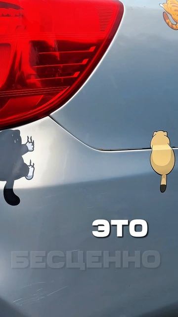 copy_BBE36E4F-1C60-4A46-B763-4E330B400AD2