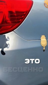 copy_BBE36E4F-1C60-4A46-B763-4E330B400AD2