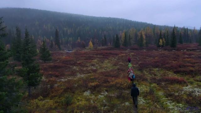 Новая реальность - как музыка меняет восприятие природы - Moves -- Makaih Beats -- Moves