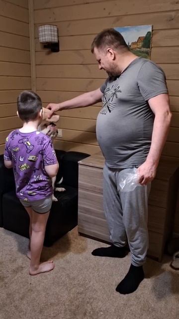 Американский бульдог Jerr