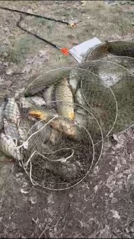 Калач на Дону там поймал