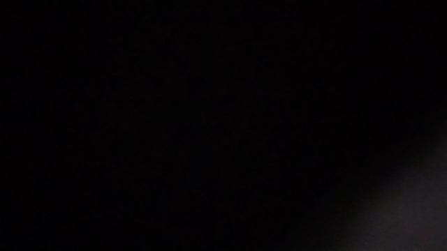 Жёлтые тюльпаны