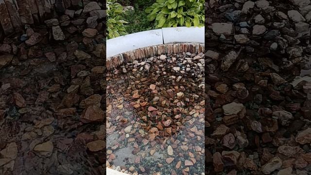 Для сердца славный уголок... Здесь для души одни блага...