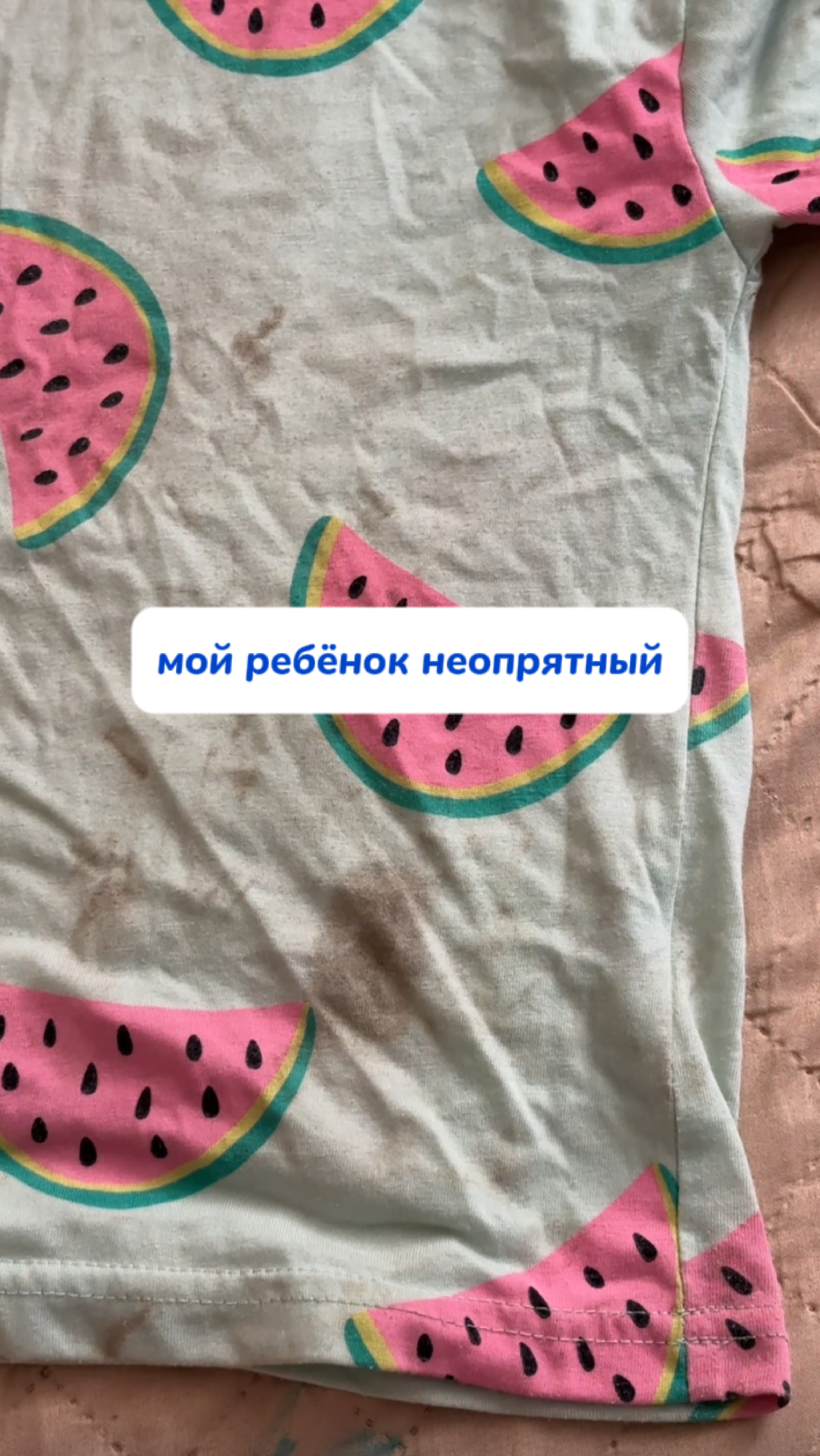 Моя база