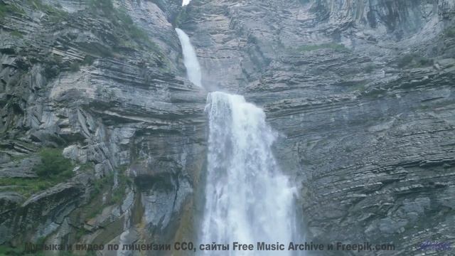 Кадры природы, которые смешнее любого стендапа! - Mercurio -- chicachico -- 3 canciones sobre la mue