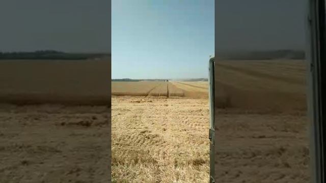 теплое лето😅