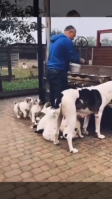 VID_20250714_132341_463.mp4