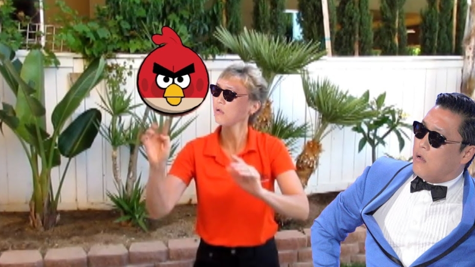 ANGRY BIRDS AND PSY(HOW TO SPIN A BIRD)
