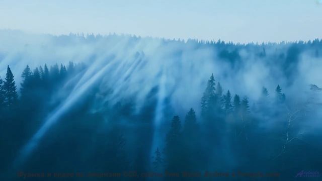 Слушайте её вместе - и почувствуйте, как сердца синхронизируются! - Soul Purpose  Soularflair -- Ind