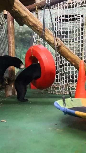 VID_20250714_124202_232.mp4