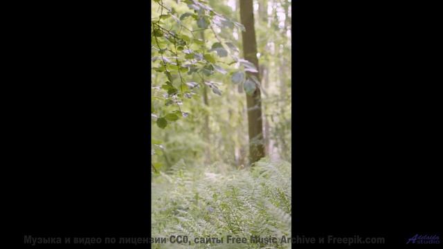 Трек из этого видео станет твоей зависимостью - Im Aware of You -- Julia Felix -- Unnamed album