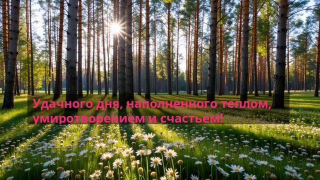 Удачного дня, наполненного теплом, умиротворением и счастьем!