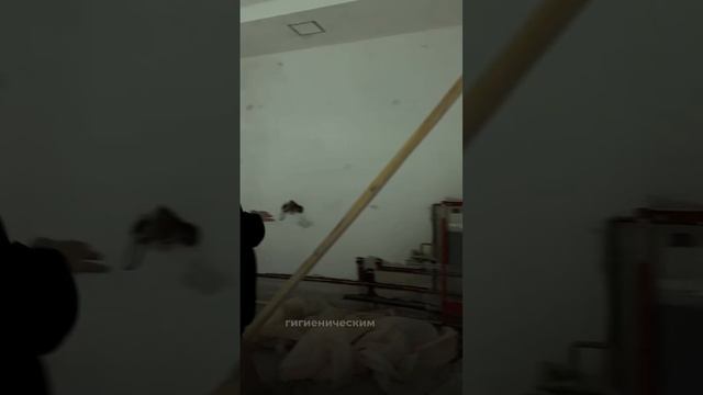 Роскошный интерьер с эффектными приемами