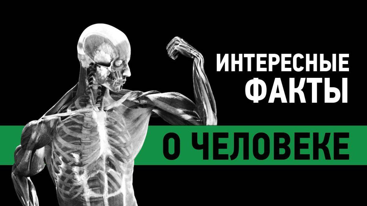 Интересные факты про человеческое тело.