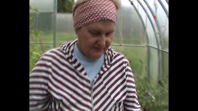 Обрезка винограда в июле