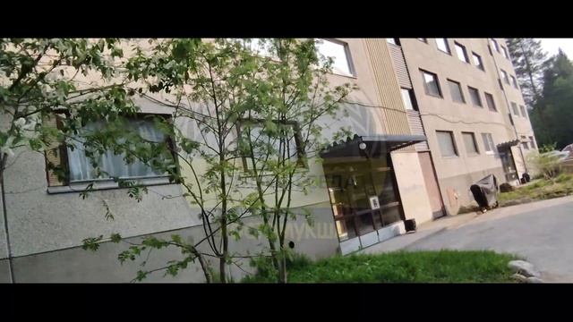 Костомукшский городской округ, 4 июня 2025 года. #УЛЬТРАБЕСЕДА #РОССИЯ #КОСТОМУКША