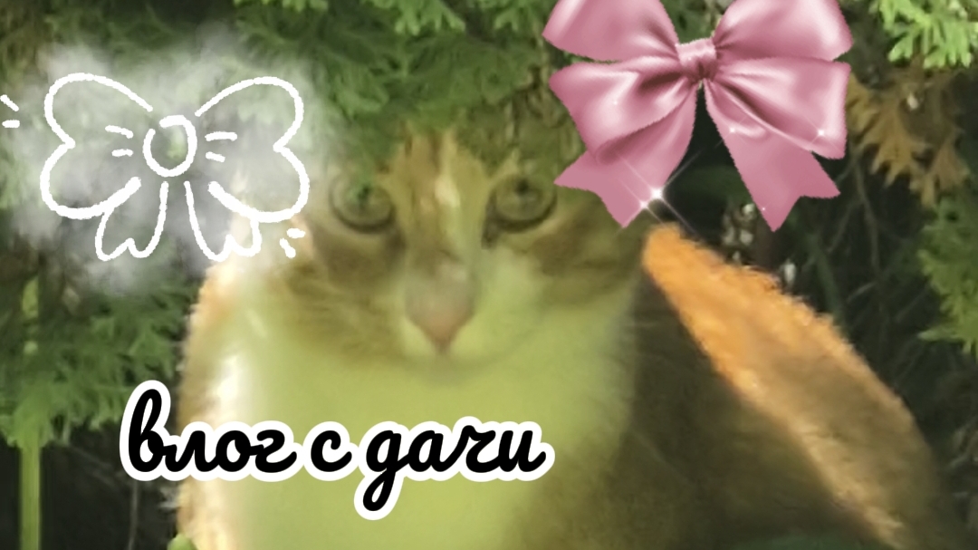 Влог с дачи🩷
