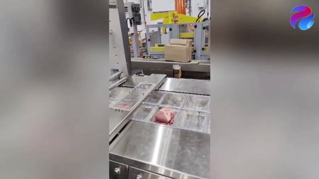 Опция лазерный луч | Опции для термоформера