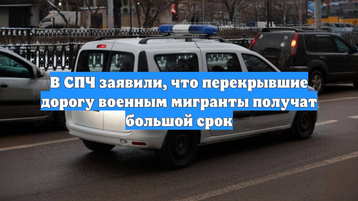 В СПЧ заявили, что перекрывшие дорогу военным мигранты получат большой срок