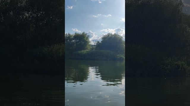1000076499.mp4