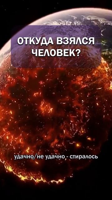 Откуда взялся человек?