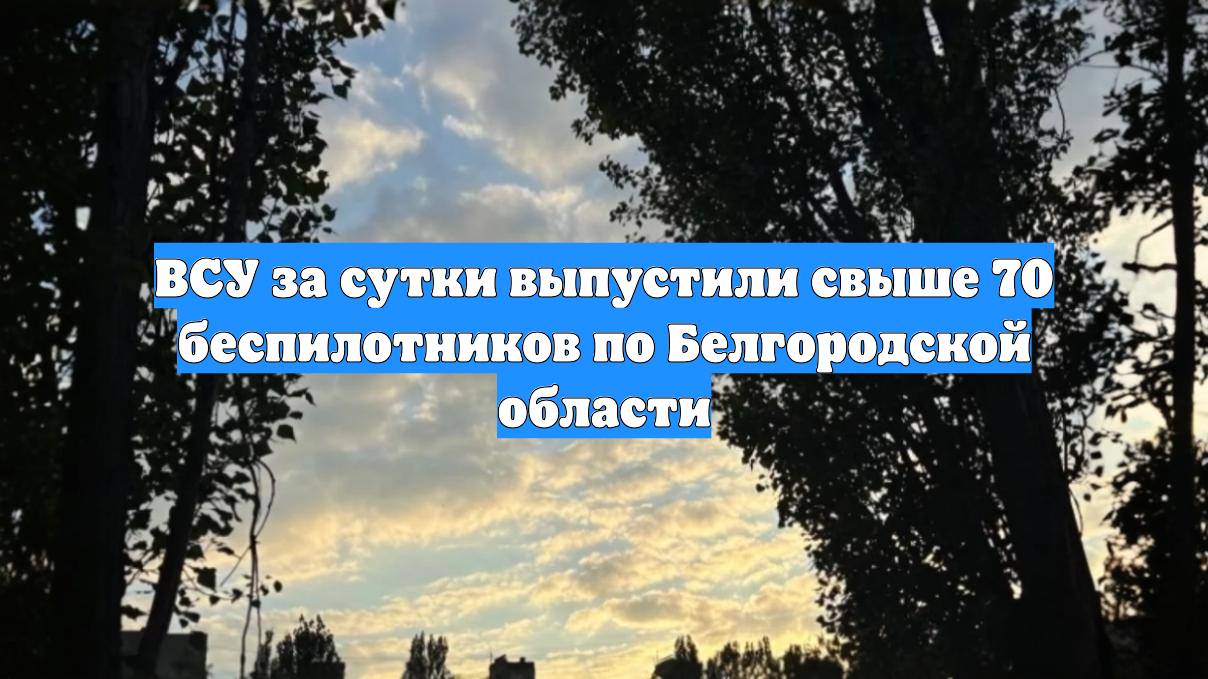 ВСУ за сутки выпустили свыше 70 беспилотников по Белгородской области