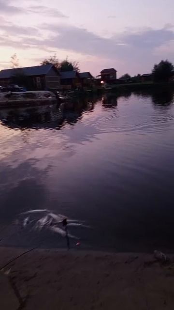 14-07-2025