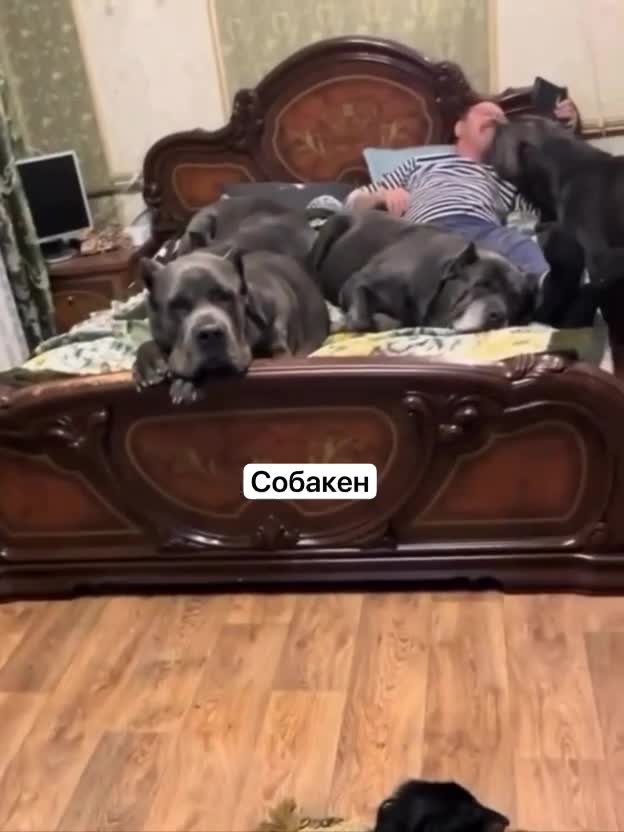 Подпишись 👉 https://vk.com/ykrasheniy_iz_kamny