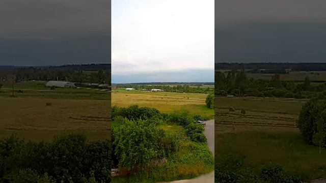 заготовка сена