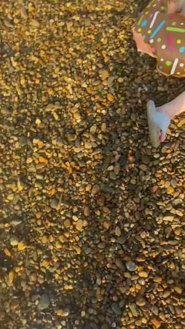 project-2025-07-14 10:49:20.3490