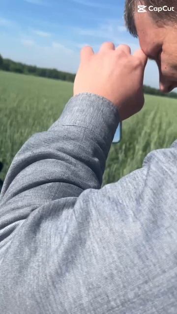 Поле полюшко