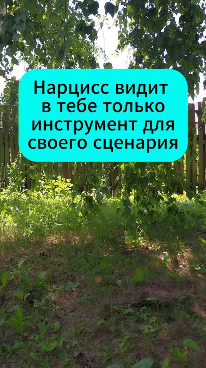Нарцисс видит в тебе только инструмент