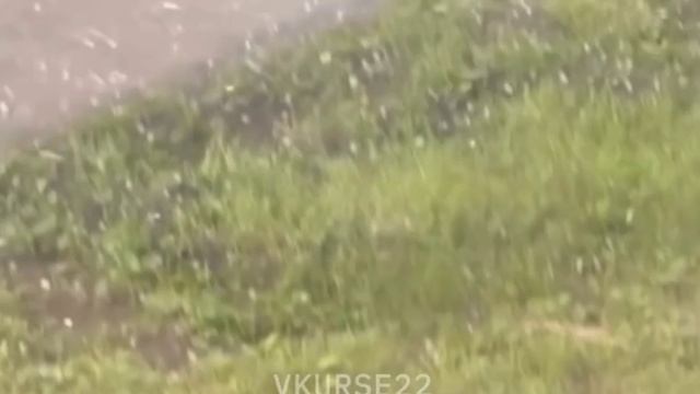 Град в Барнауле 14 июля