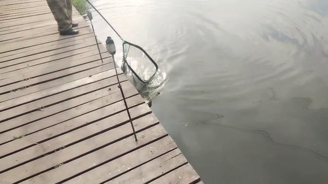 Опарик с кукурузой