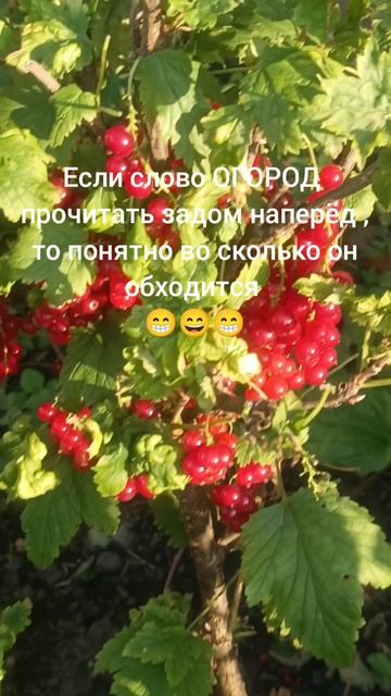 во сколько обходится...😁