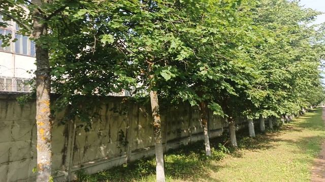 О компании Труд Вача