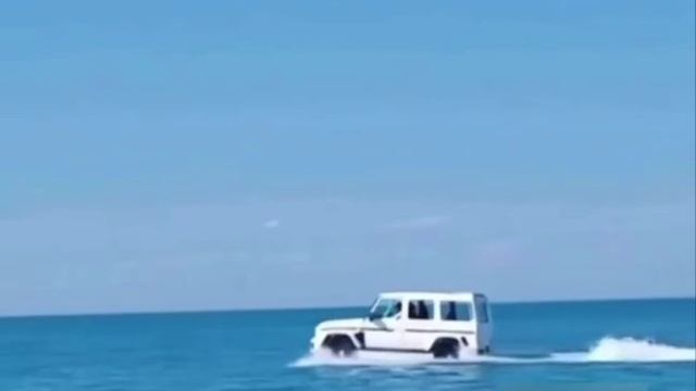 Сегодня отмечается День хаоса